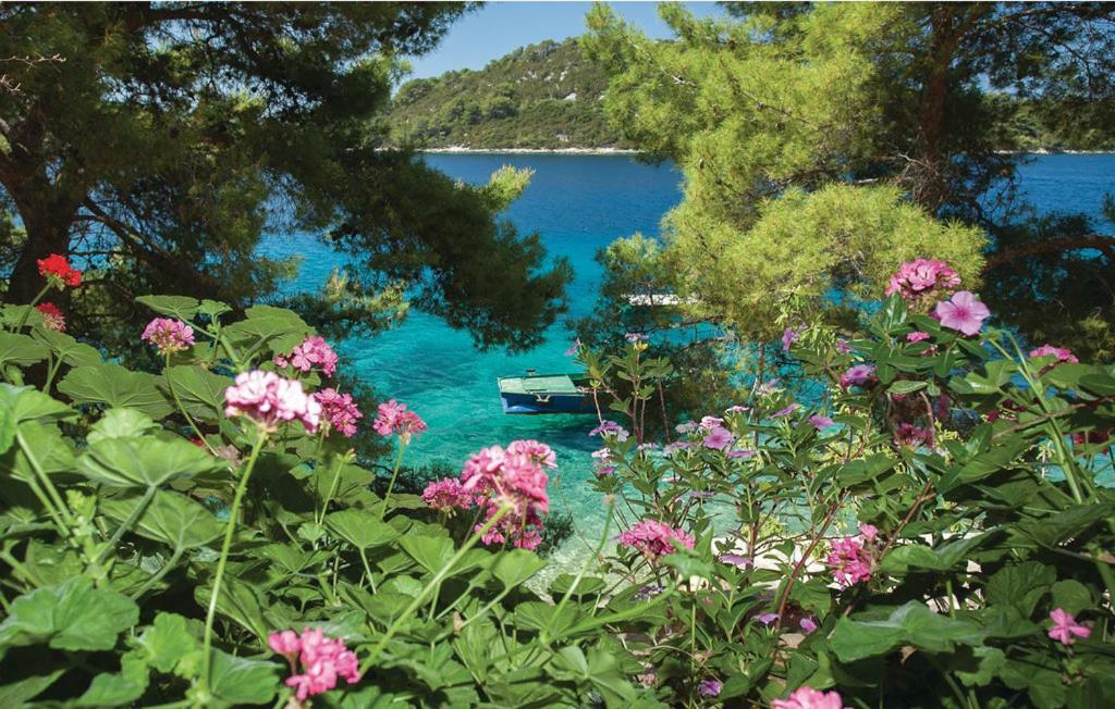 Beautiful Apartment By The Sea Prižba Esterno foto